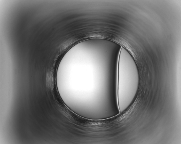 X0000096670349200802051014