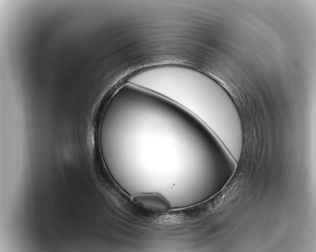 X0000096670350200802051014