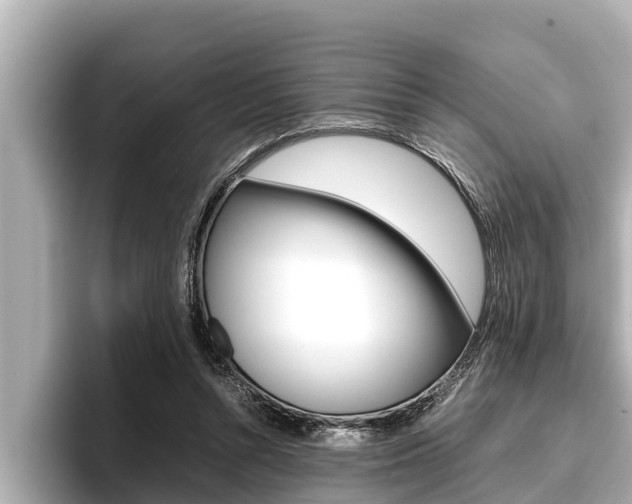 X0000096670352200802051014