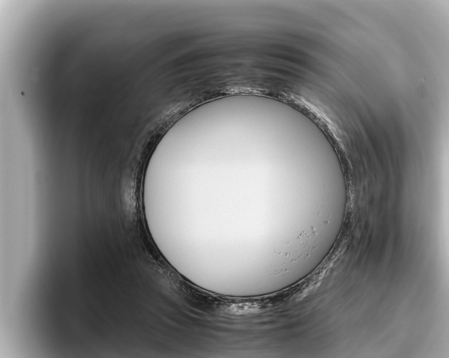 X0000096670353200802051014