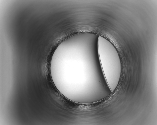 X0000096670354200802051014
