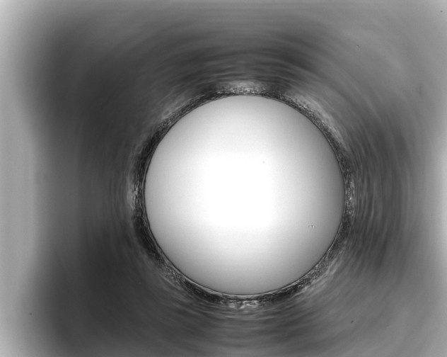 X0000096670355200802051014