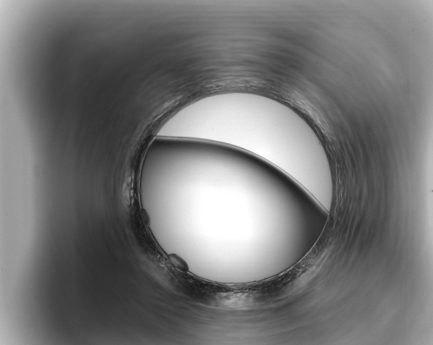 X0000096670356200802051014