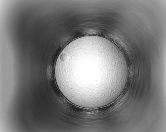 X0000096670359200802051014