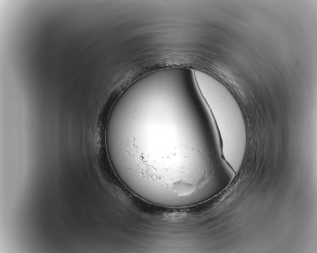 X0000096670362200802051014