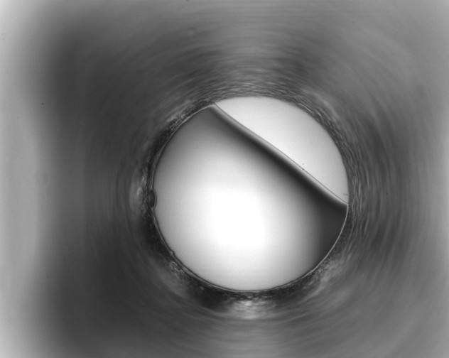 X0000096670364200802051014