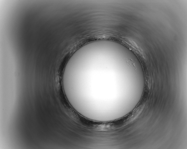 X0000096670366200802051014