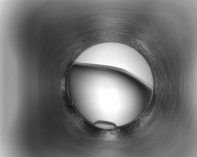 X0000096670368200802051014