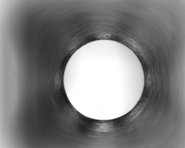 X0000096670370200802051014