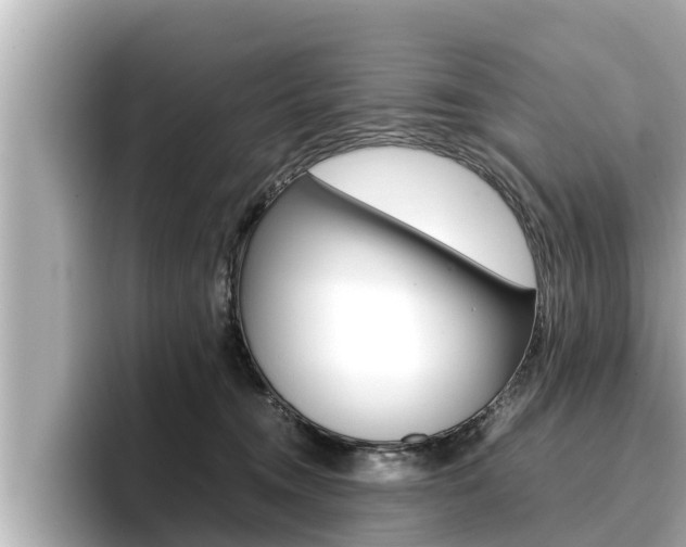 X0000096670372200802051014