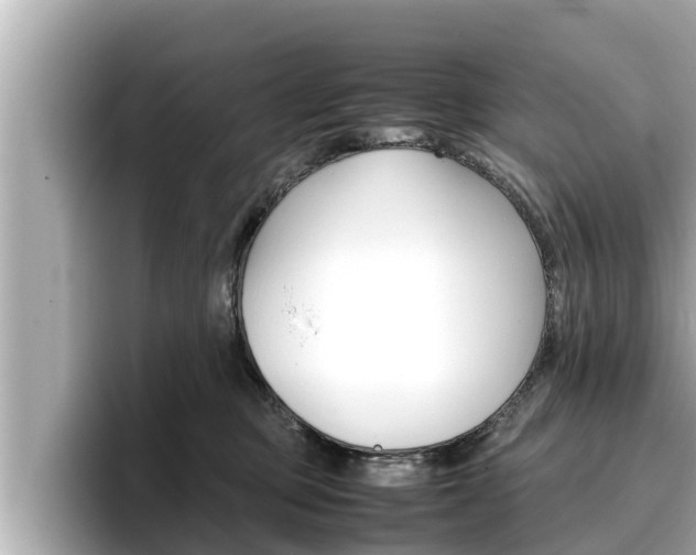 X0000096670373200802051014