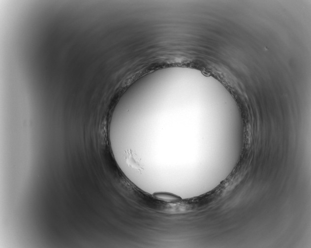 X0000096670376200802051015