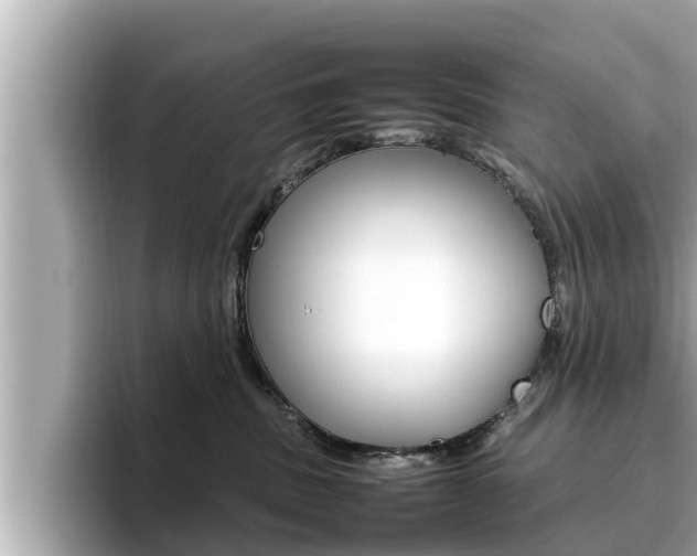 X0000096670379200802051015