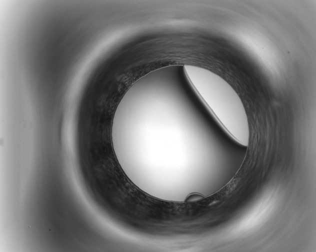X0000096670383200802051015