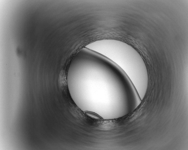 X0000096670384200802051015