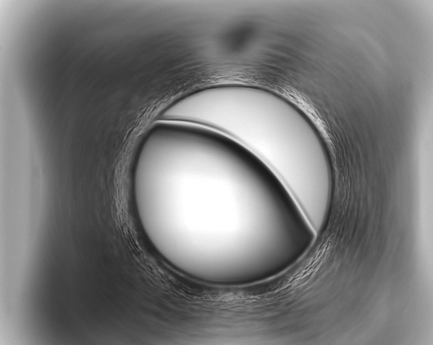 X0000096670385200802051014