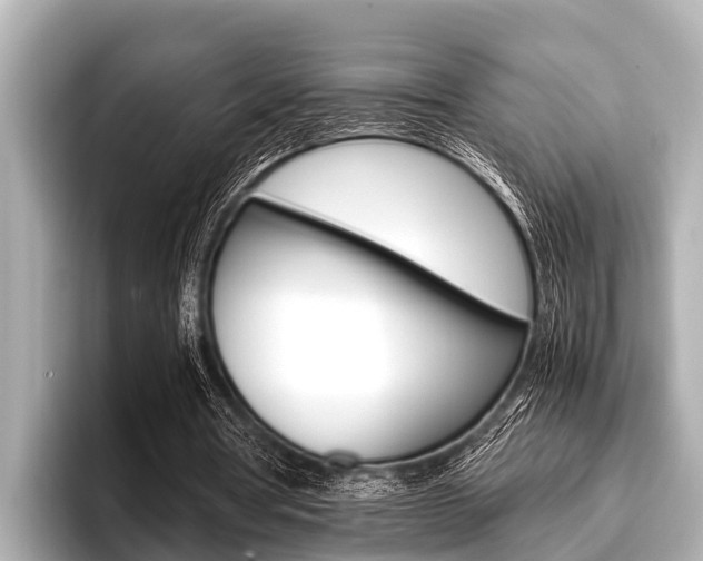 X0000096670386200802051014