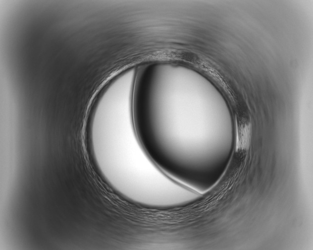 X0000096670387200802051014