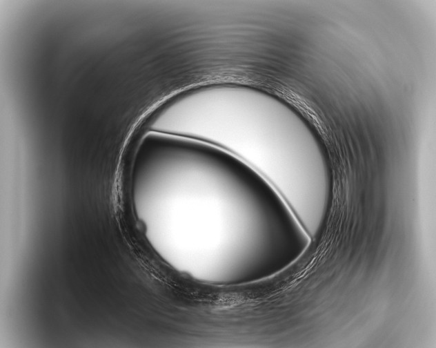 X0000096670388200802051014