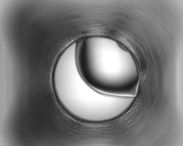 X0000096670389200802051014