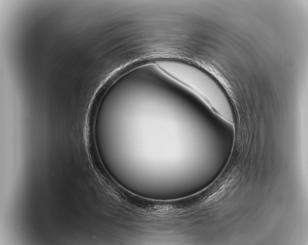 X0000096670391200802051014