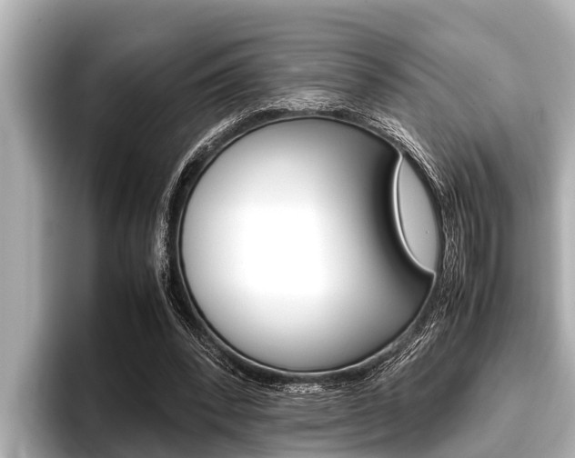 X0000096670392200802051014