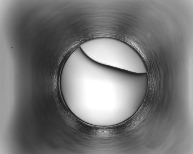 X0000096670394200802051014