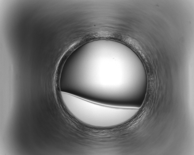 X0000096670395200802051014