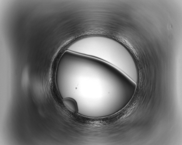 X0000096670396200802051014
