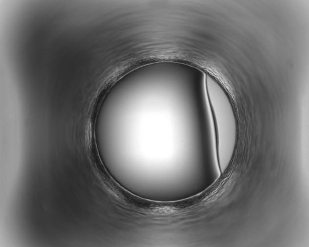 X0000096670397200802051014