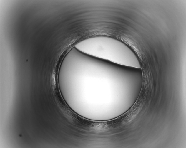 X0000096670398200802051014