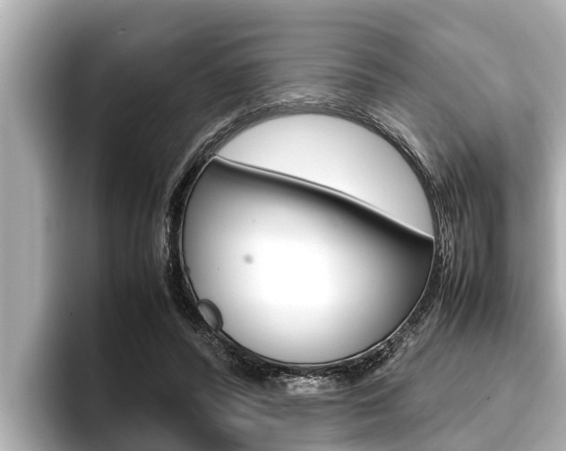 X0000096670400200802051014