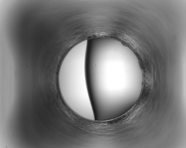 X0000096670401200802051014