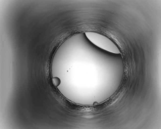 X0000096670402200802051014