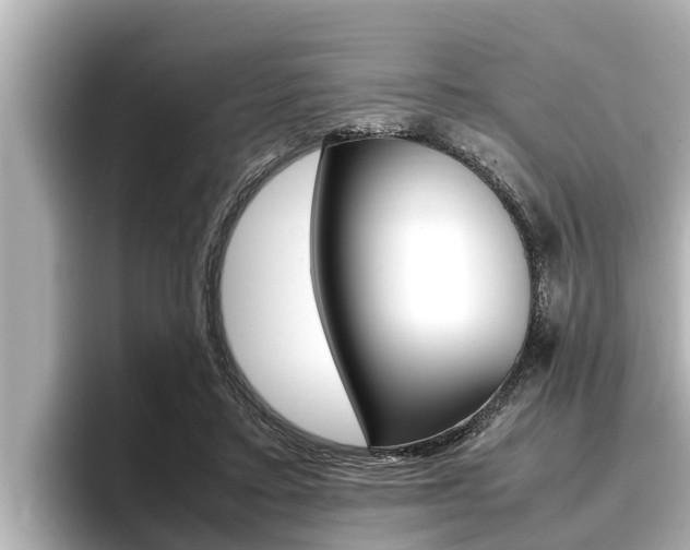 X0000096670403200802051014