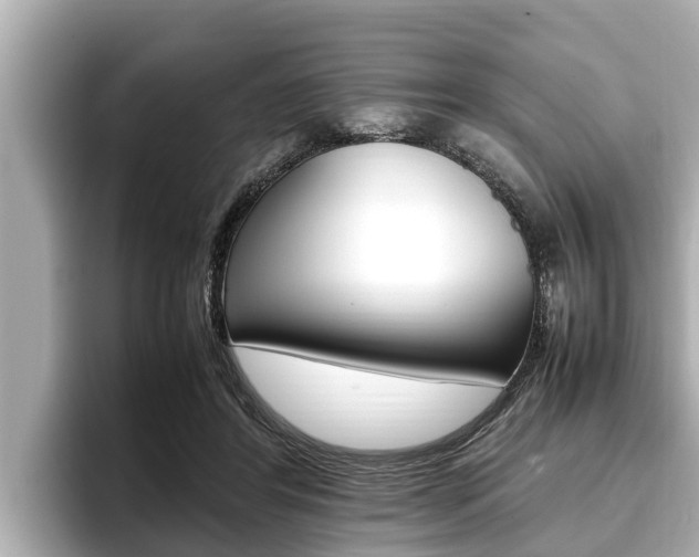 X0000096670404200802051014