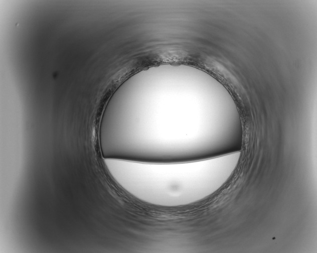 X0000096670405200802051014