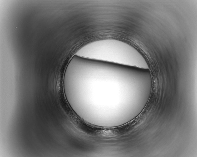 X0000096670406200802051014