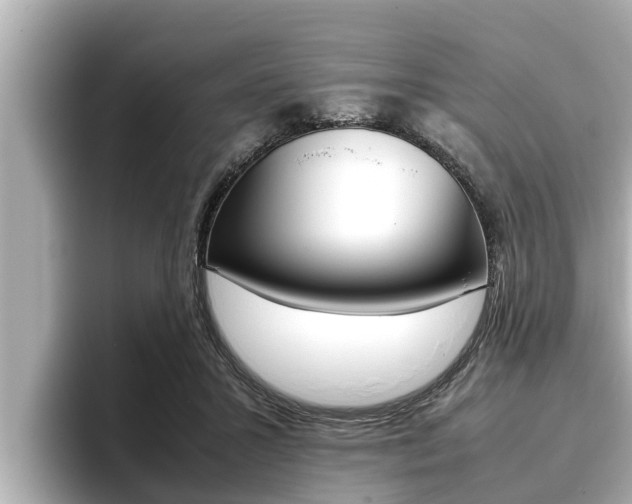 X0000096670407200802051014