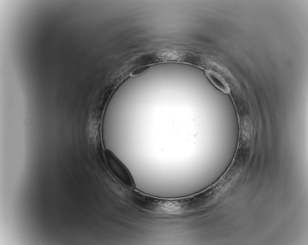 X0000096670409200802051014