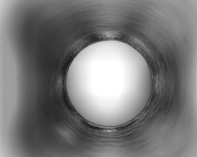 X0000096670410200802051014