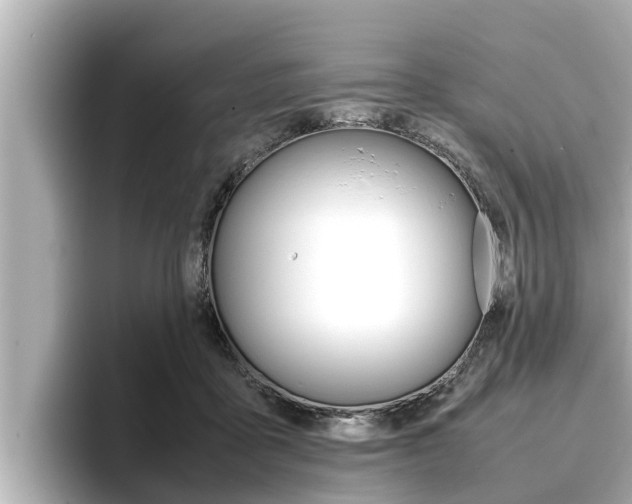 X0000096670411200802051014