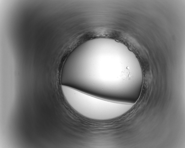 X0000096670413200802051014