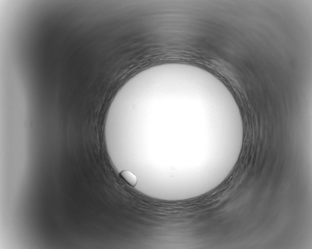 X0000096670415200802051014