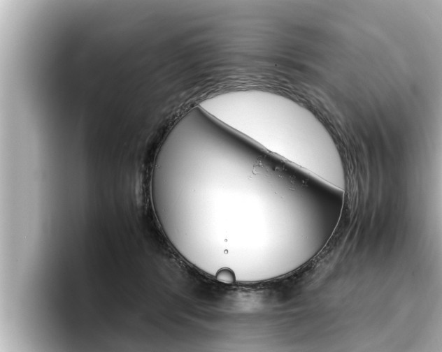X0000096670416200802051014