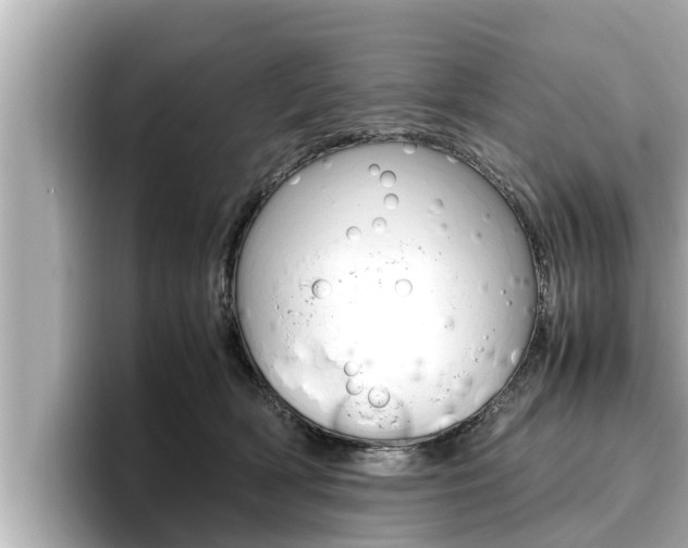 X0000096670418200802051014