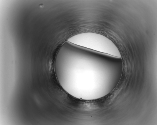 X0000096670420200802051014
