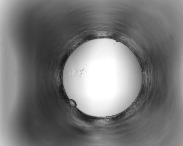 X0000096670422200802051014