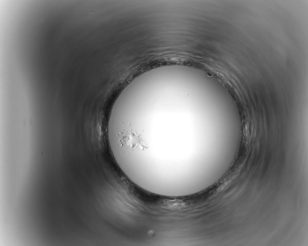 X0000096670424200802051013