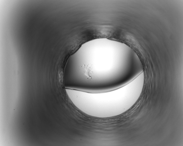 X0000096670425200802051013
